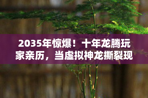 2035年惊爆!十年龙腾玩家亲历,当虚拟神龙撕裂现实法则 2035年惊爆!十年龙腾玩家亲历,当虚拟神龙撕裂现实法则