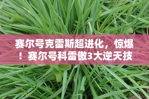 赛尔号克雷斯超进化,惊爆!赛尔号科雷傲3大逆天技能,玩到爽翻的极致体验! 赛尔号克雷斯超进化,惊爆!赛尔号科雷傲3大逆天技能,玩到爽翻的极致体验!