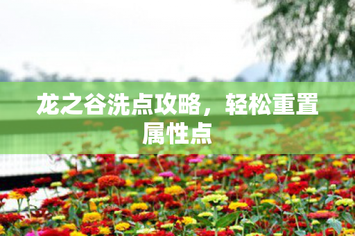 龙之谷洗点攻略图片
