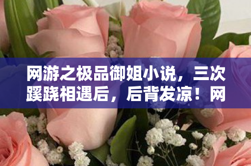 网游之极品御姐小说,三次蹊跷相遇后,后背发凉!网游御姐竟藏着惊天秘密 网游之极品御姐小说,三次蹊跷相遇后,后背发凉!网游御姐竟藏着惊天秘密