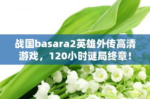 战国basara2英雄外传高清游戏,120小时谜局终章!战国basara2英雄外传,那些被数据杀死的黄昏 战国basara2英雄外传高清游戏,120小时谜局终章!战国basara2英雄外传,那些被数据杀死的黄昏
