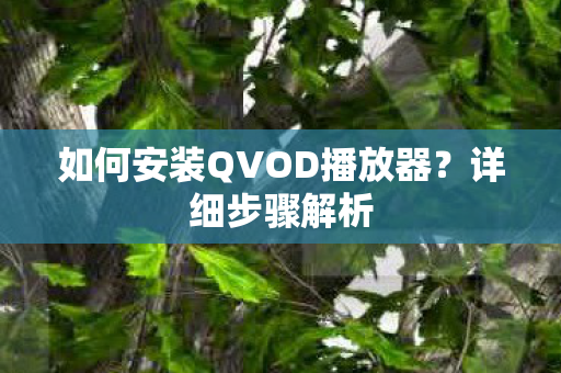 如何安装QVOD播放器图片