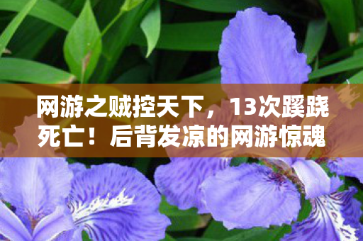 网游之贼控天下,13次蹊跷死亡!后背发凉的网游惊魂,箭控天下竟成人性炼狱 网游之贼控天下,13次蹊跷死亡!后背发凉的网游惊魂,箭控天下竟成人性炼狱