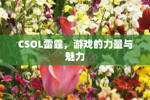 游戏的力量与魅力图片