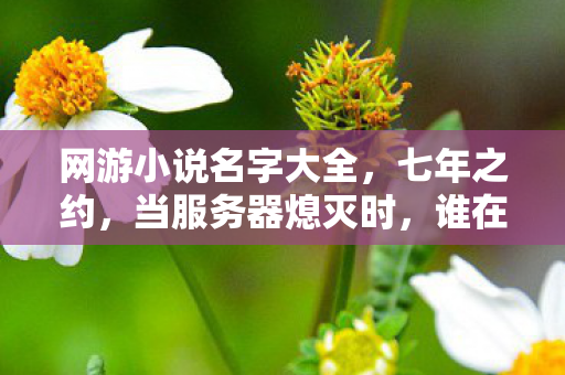网游小说名字大全,七年之约,当服务器熄灭时,谁在星陨纪元里刻下永恒? 网游小说名字大全,七年之约,当服务器熄灭时,谁在星陨纪元里刻下永恒?
