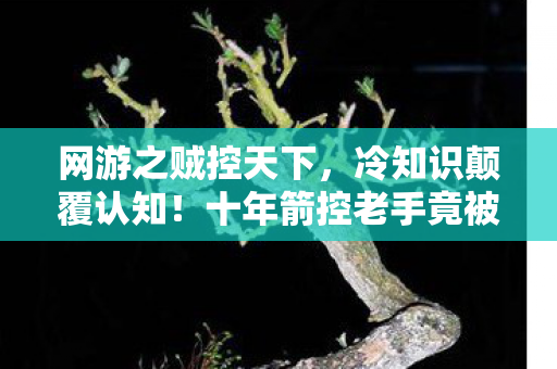 网游之贼控天下,冷知识颠覆认知!十年箭控老手竟被这游戏目瞪口呆打脸 网游之贼控天下,冷知识颠覆认知!十年箭控老手竟被这游戏目瞪口呆打脸