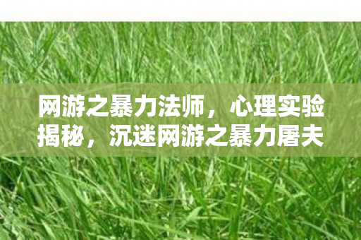 网游之暴力法师,心理实验揭秘,沉迷网游之暴力屠夫,细思极恐的自我麻醉 网游之暴力法师,心理实验揭秘,沉迷网游之暴力屠夫,细思极恐的自我麻醉