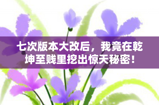七次版本大改后,我竟在乾坤至贱里挖出惊天秘密! 七次版本大改后,我竟在乾坤至贱里挖出惊天秘密!