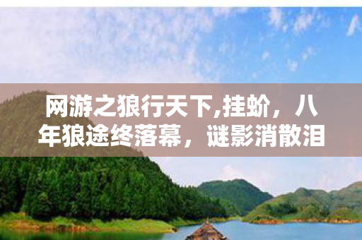 网游之狼行天下,挂蚧，八年狼途终落幕，谜影消散泪难流，网游梦碎谁人懂