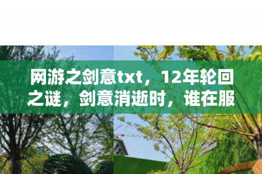 网游之剑意txt,12年轮回之谜,剑意消逝时,谁在服务器尽头泪目守望? 网游之剑意txt,12年轮回之谜,剑意消逝时,谁在服务器尽头泪目守望?