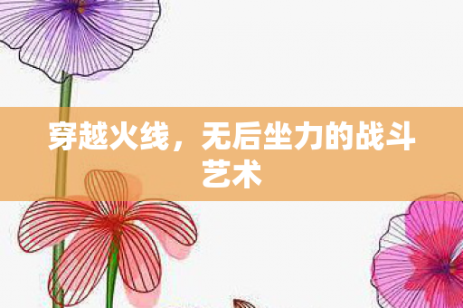 无后坐力的战斗艺术图片