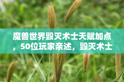 魔兽世界毁灭术士天赋加点,50位玩家亲述,毁灭术士天赋暗改疑云,策划这波操作真绷不住了! 魔兽世界毁灭术士天赋加点,50位玩家亲述,毁灭术士天赋暗改疑云,策划这波操作真绷不住了!
