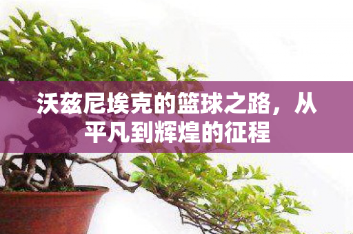 沃兹尼埃克的篮球之路图片