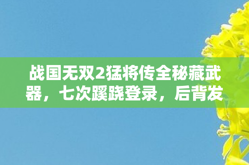 战国无双2猛将传全秘藏武器,七次蹊跷登录,后背发凉!十年逃兵的战国无双深渊 战国无双2猛将传全秘藏武器,七次蹊跷登录,后背发凉!十年逃兵的战国无双深渊