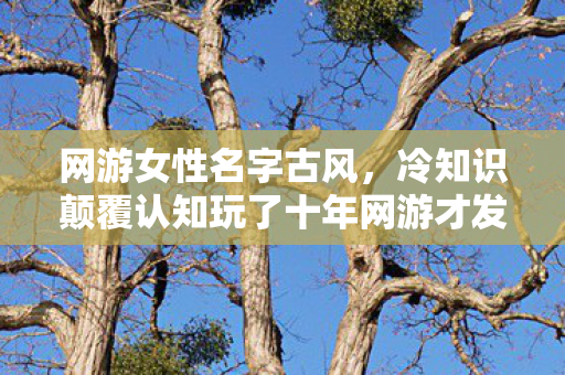 网游女性名字古风，冷知识颠覆认知玩了十年网游才发现，女性角色名下竟藏着目瞪口呆的真相！