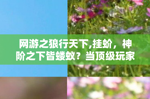 网游之狼行天下,挂蚧,神阶之下皆蝼蚁?当顶级玩家在数据洪流中撞碎命运枷锁 网游之狼行天下,挂蚧,神阶之下皆蝼蚁?当顶级玩家在数据洪流中撞碎命运枷锁