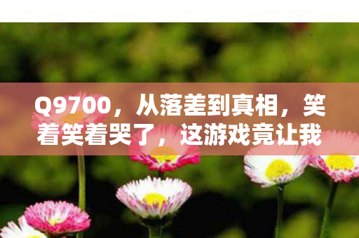 Q9700，从落差到真相，笑着笑着哭了，这游戏竟让我真香了？