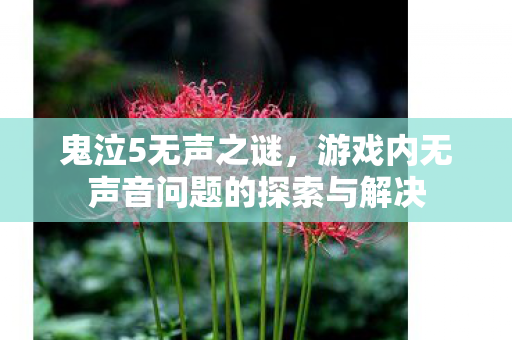 游戏内无声音问题的探索与解决图片