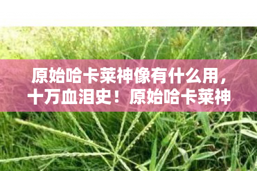 原始哈卡莱神像有什么用，十万血泪史！原始哈卡莱神像背后，我竟成最大冤种？吓一跳！