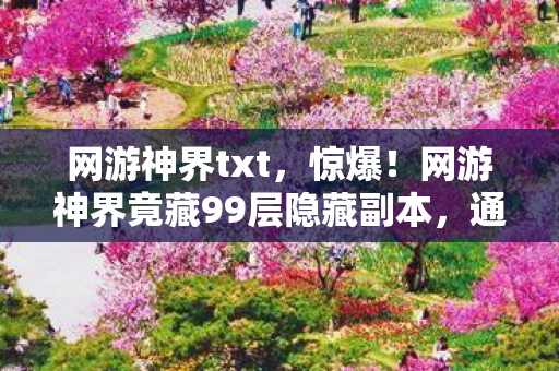 网游神界txt，惊爆！网游神界竟藏99层隐藏副本，通关者将获何种逆天奖励？