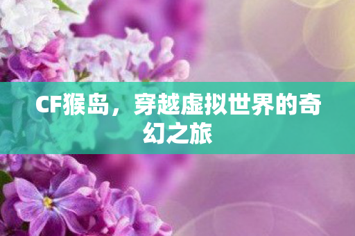 穿越虚拟世界的奇幻之旅图片