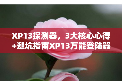 XP13探测器，3大核心心得+避坑指南XP13万能登陆器实测，这些坑你绝对想不到！
