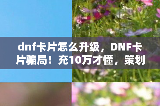 dnf卡片怎么升级,DNF卡片骗局!充10万才懂,策划的隐藏概率让我钱包吓到裂开 dnf卡片怎么升级,DNF卡片骗局!充10万才懂,策划的隐藏概率让我钱包吓到裂开