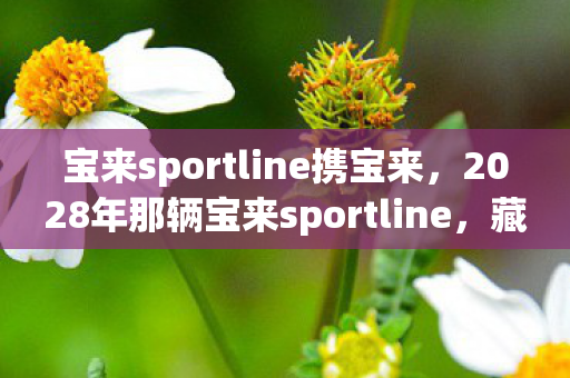 宝来sportline携宝来,2028年那辆宝来sportline,藏着未赴之约,鼻子一酸忆当年 宝来sportline携宝来,2028年那辆宝来sportline,藏着未赴之约,鼻子一酸忆当年
