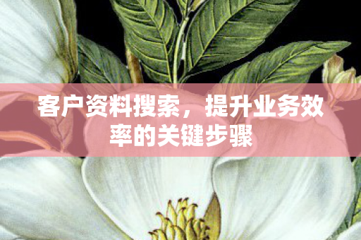 提升业务效率的关键步骤图片