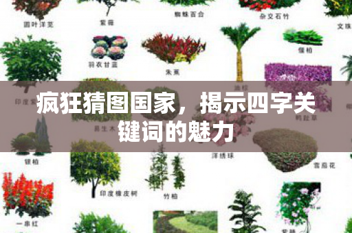 揭示四字关键词的魅力图片