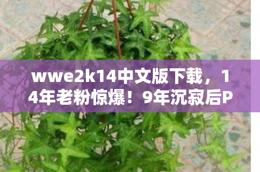 wwe2k14中文版下载,14年老粉惊爆!9年沉寂后PC版竟藏这等逆天玩法? wwe2k14中文版下载,14年老粉惊爆!9年沉寂后PC版竟藏这等逆天玩法?