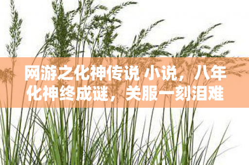 网游之化神传说 小说,八年化神终成谜,关服一刻泪难觅 网游之化神传说 小说,八年化神终成谜,关服一刻泪难觅
