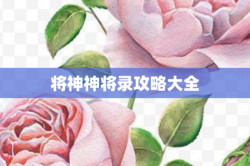 将神神将录攻略大全图片