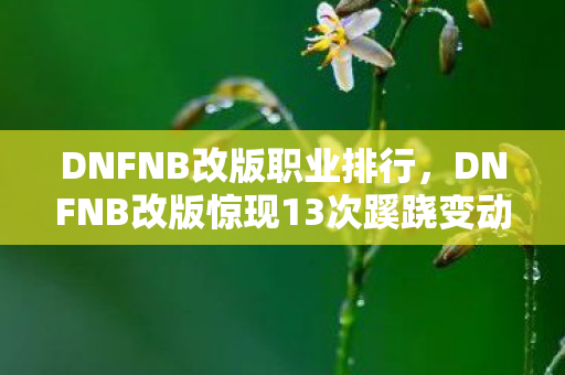 DNFNB改版职业排行,DNFNB改版惊现13次蹊跷变动!玩家后背发凉,这背后藏着什么? DNFNB改版职业排行,DNFNB改版惊现13次蹊跷变动!玩家后背发凉,这背后藏着什么?