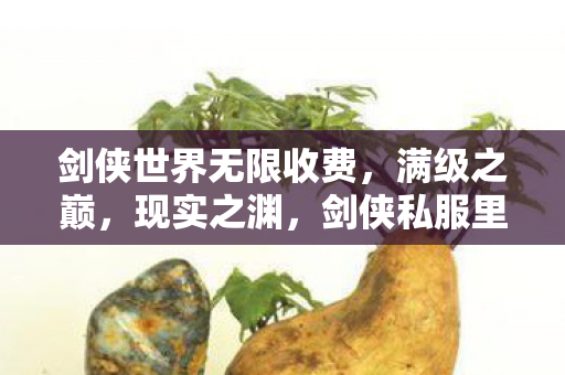 剑侠世界无限收费,满级之巅,现实之渊,剑侠私服里我是神,现实中我输给柴米油盐 剑侠世界无限收费,满级之巅,现实之渊,剑侠私服里我是神,现实中我输给柴米油盐