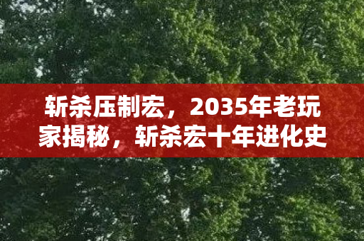 斩杀压制宏,2035年老玩家揭秘,斩杀宏十年进化史,颠覆你对极限的认知! 斩杀压制宏,2035年老玩家揭秘,斩杀宏十年进化史,颠覆你对极限的认知!