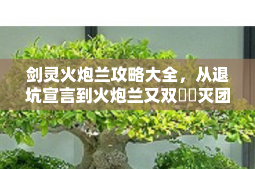 剑灵火炮兰攻略大全,从退坑宣言到火炮兰又双叒叕灭团,笑着骂完才发现,真相是眼泪泡大的 剑灵火炮兰攻略大全,从退坑宣言到火炮兰又双叒叕灭团,笑着骂完才发现,真相是眼泪泡大的