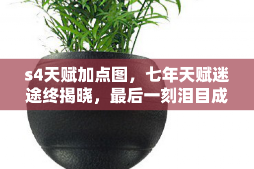 s4天赋加点图,七年天赋迷途终揭晓,最后一刻泪目成永恒 s4天赋加点图,七年天赋迷途终揭晓,最后一刻泪目成永恒