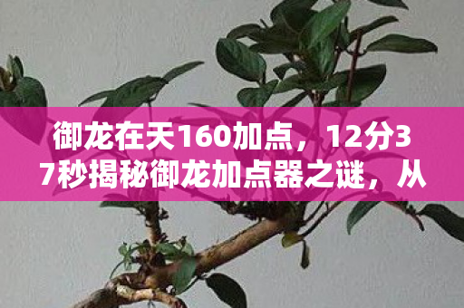 御龙在天160加点,12分37秒揭秘御龙加点器之谜,从辉煌到泪目的数字史诗 御龙在天160加点,12分37秒揭秘御龙加点器之谜,从辉煌到泪目的数字史诗