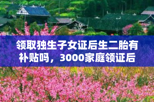 领取独生子女证后生二胎有补贴吗,3000家庭领证后生二胎?疑点重重!网友,这操作绷不住了! 领取独生子女证后生二胎有补贴吗,3000家庭领证后生二胎?疑点重重!网友,这操作绷不住了!