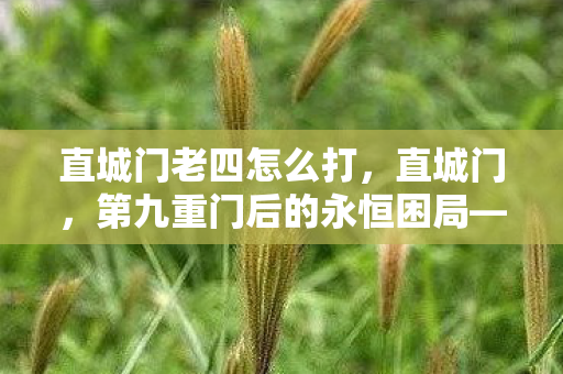 直城门老四怎么打,直城门,第九重门后的永恒困局——当虚拟选择叩响存在之钟 直城门老四怎么打,直城门,第九重门后的永恒困局——当虚拟选择叩响存在之钟