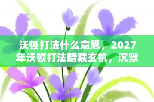 沃顿打法什么意思,2027年沃顿打法暗藏玄机,沉默的玩家为何集体破防? 沃顿打法什么意思,2027年沃顿打法暗藏玄机,沉默的玩家为何集体破防?