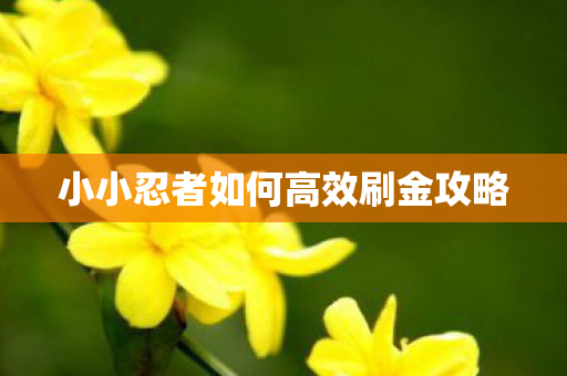 小小忍者如何高效刷金攻略图片