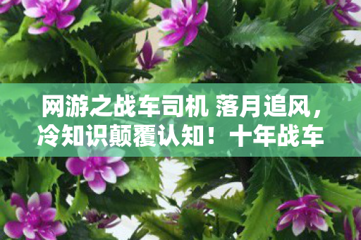 网游之战车司机 落月追风,冷知识颠覆认知!十年战车司机竟是目瞪口呆的云玩家? 网游之战车司机 落月追风,冷知识颠覆认知!十年战车司机竟是目瞪口呆的云玩家?