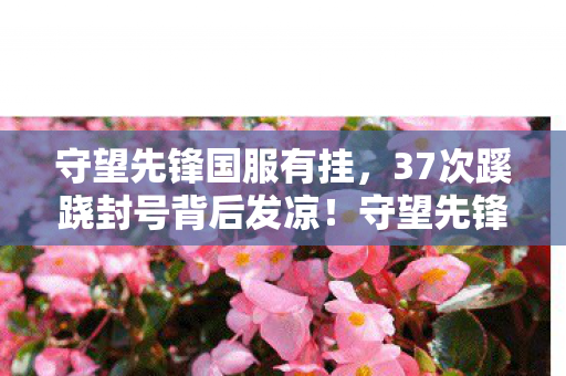 守望先锋国服有挂,37次蹊跷封号背后发凉!守望先锋外挂黑幕竟藏着人性深渊 守望先锋国服有挂,37次蹊跷封号背后发凉!守望先锋外挂黑幕竟藏着人性深渊