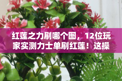 红莲之力刷哪个图,12位玩家实测力士单刷红莲!这操作疑点比BOSS血条还长,策划看完都绷不住了 红莲之力刷哪个图,12位玩家实测力士单刷红莲!这操作疑点比BOSS血条还长,策划看完都绷不住了