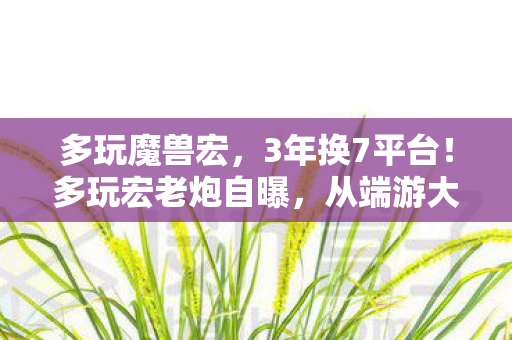 多玩魔兽宏,3年换7平台!多玩宏老炮自曝,从端游大神到手游菜鸟的辛酸路 多玩魔兽宏,3年换7平台!多玩宏老炮自曝,从端游大神到手游菜鸟的辛酸路