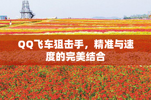 精准与速度的完美结合图片