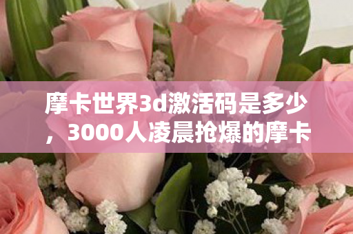 摩卡世界3d激活码是多少,3000人凌晨抢爆的摩卡3D激活码!我手握密钥却哭成狗,这世界早不是游戏 摩卡世界3d激活码是多少,3000人凌晨抢爆的摩卡3D激活码!我手握密钥却哭成狗,这世界早不是游戏