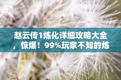 赵云传1炼化详细攻略大全，惊爆！99%玩家不知的炼化数值黑洞，策划暗改实锤！
